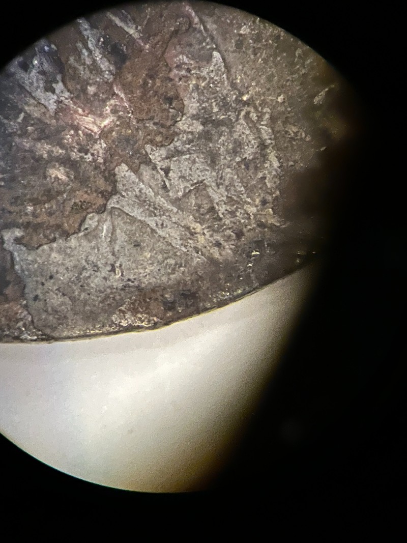 Heavily-Damaged-/-Burnt-1916-Mercury-Or-1916-D-Mercury-Dime?